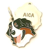 pet tag engraved 201420301.jpg Namnbrickor för hundar MjavHov - Graverade ID-brickor webbshop